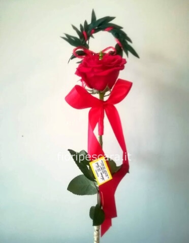 Rosa per laurea